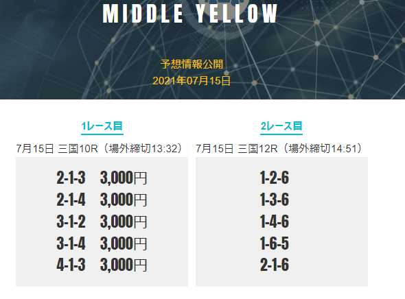 MIDDLE YELLOWプラン