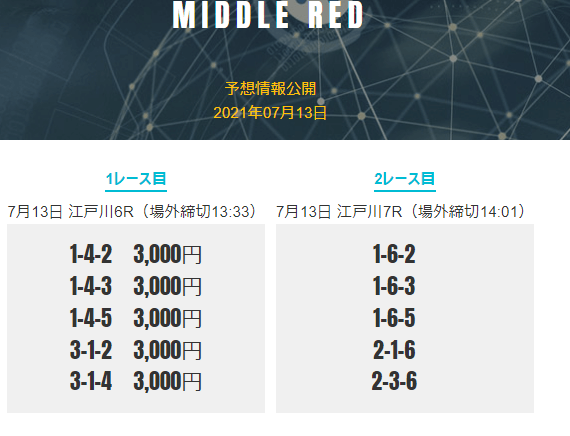 MIDDLE REDプラン