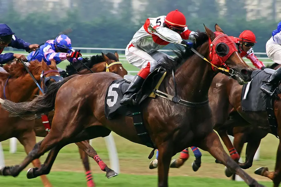 Amazon.co.jp: ライトSP2 競馬.競艇.競輪OKの予想マシン